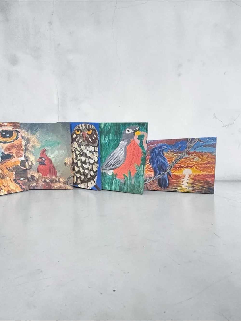 Birds of Wonder Greeting Card Set of 5 by Briefcase Artist